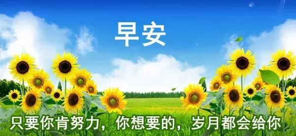 春天早安問候_問候春天早安的句子_早安春天問候語