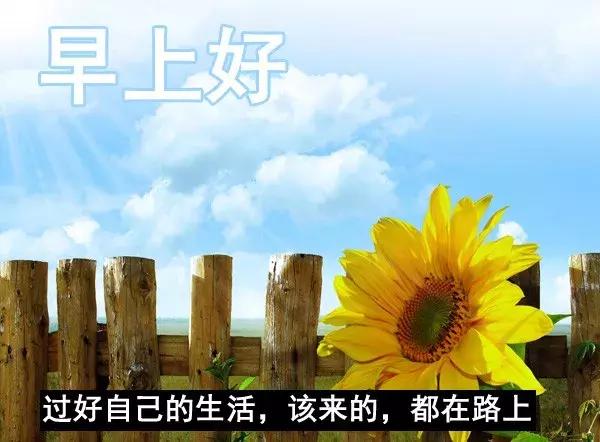 早安春天問候語_問候春天早安的句子_春天早安問候