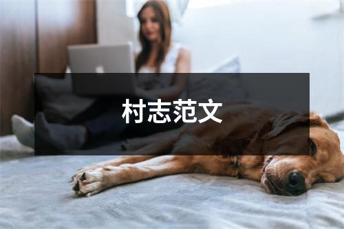 村志范文