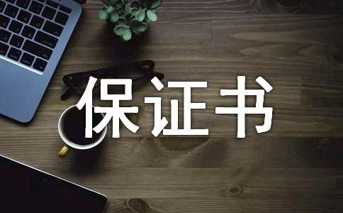 给老婆的保证书
