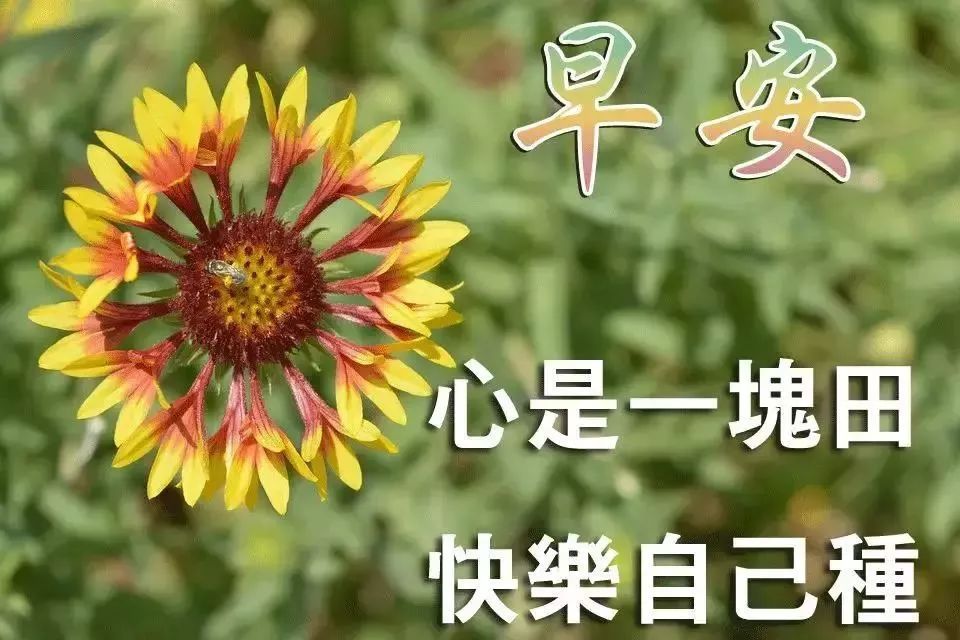 問候餐飲早安語錄_餐飲早安問候語大全_餐飲早安問候語