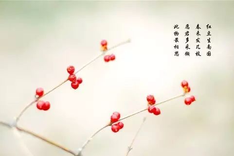 歌词找歌名搜索_歌词适配_好好歌词