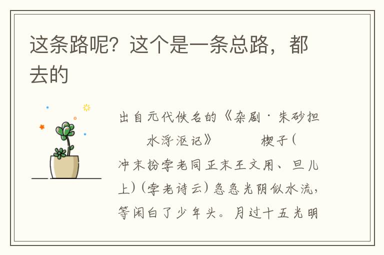 這條路呢？這個(gè)是一條總路，都去的
