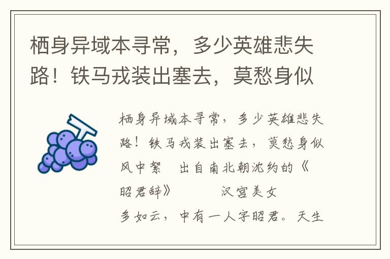 棲身異域本尋常，多少英雄悲失路！鐵馬戎裝出塞去，莫愁身似風中絮