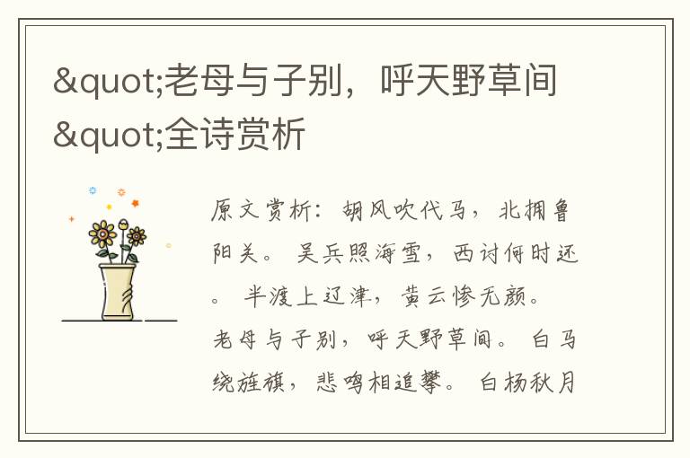 "老母與子別，呼天野草間"全詩賞析