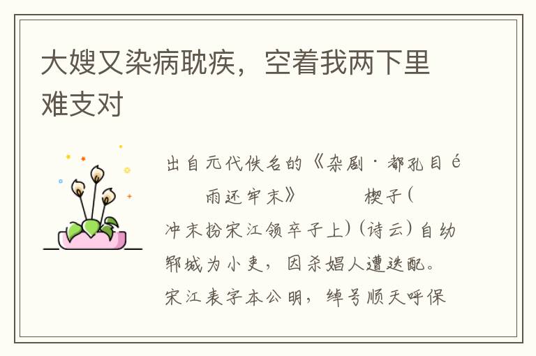 大嫂又染病耽疾，空著我兩下里難支對