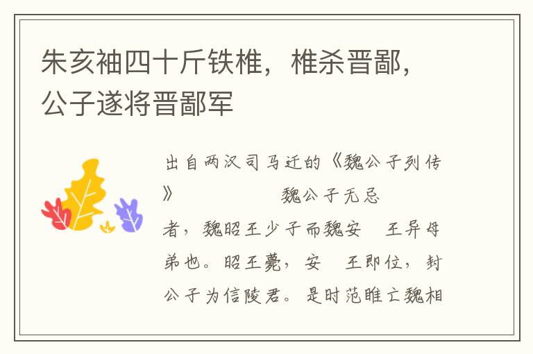 朱亥袖四十斤铁椎，椎杀晋鄙，公子遂将晋鄙军