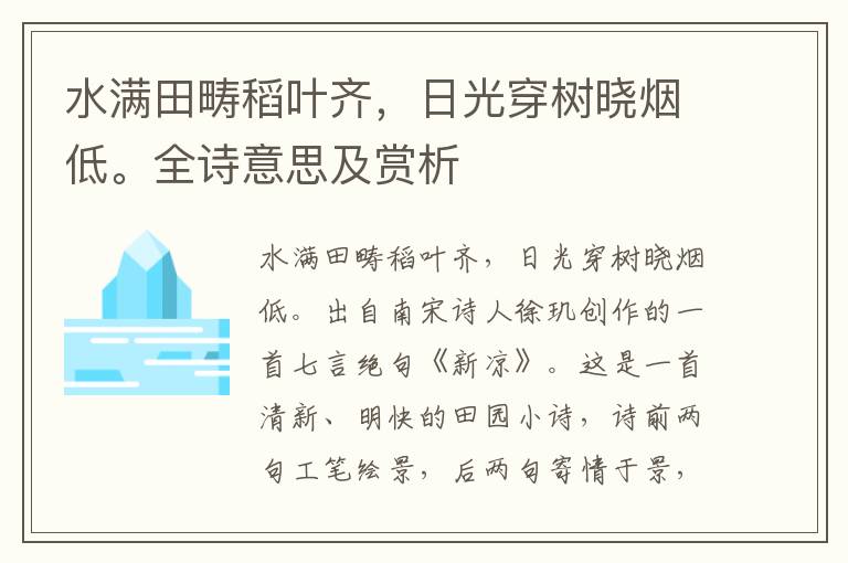 水滿田疇稻葉齊，日光穿樹曉煙低。全詩意思及賞析