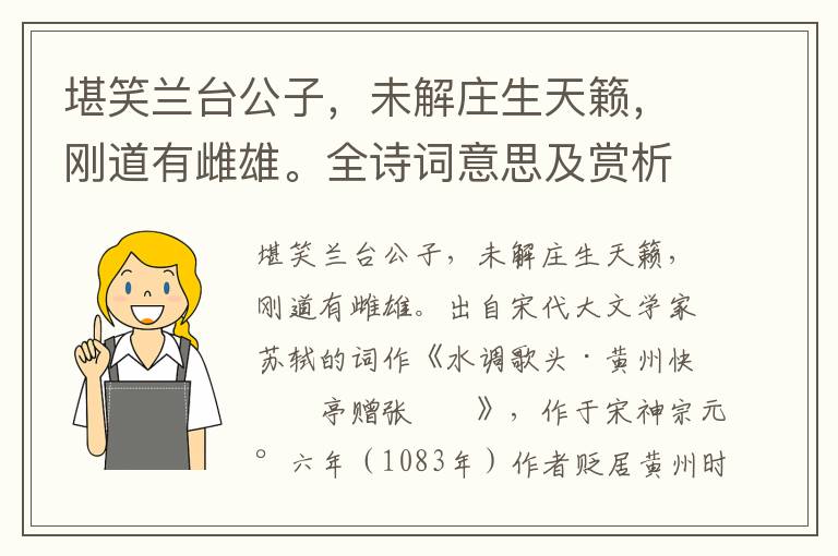 堪笑蘭臺(tái)公子，未解莊生天籟，剛道有雌雄。全詩詞意思及賞析