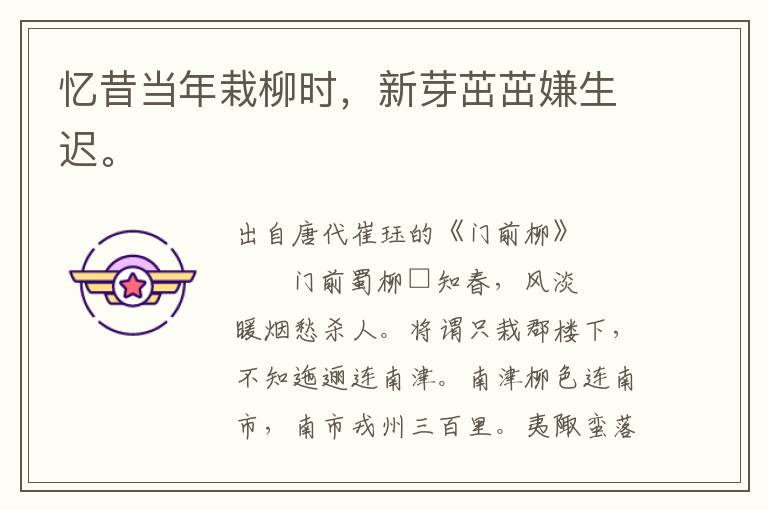 憶昔當(dāng)年栽柳時(shí)，新芽茁茁嫌生遲。