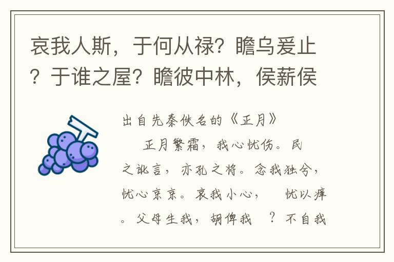 哀我人斯，于何從祿？瞻烏爰止？于誰之屋？瞻彼中林，侯薪侯蒸。