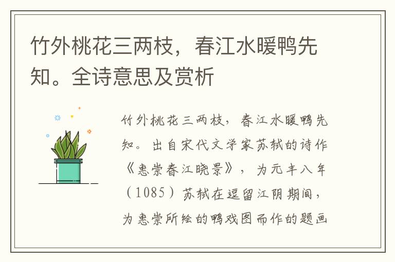 竹外桃花三兩枝，春江水暖鴨先知。全詩意思及賞析