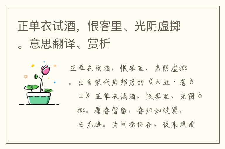 正單衣試酒，恨客里、光陰虛擲。意思翻譯、賞析