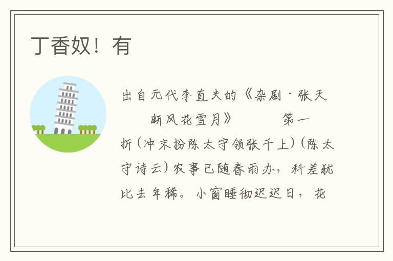 丁香奴！有