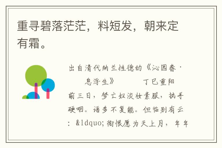 重尋碧落茫茫，料短發，朝來定有霜。