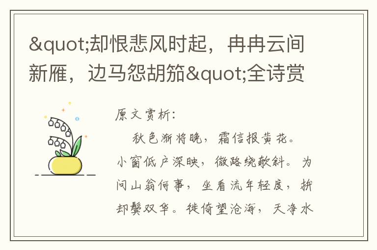 "卻恨悲風時起，冉冉云間新雁，邊馬怨胡笳"全詩賞析