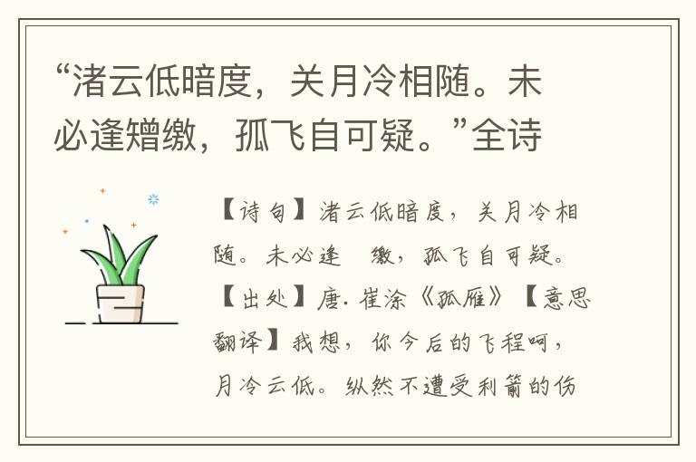 “渚云低暗度，关月冷相随。未必逢矰缴，孤飞自可疑。”全诗意思,原文翻译,赏析