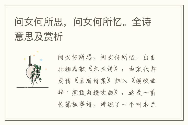 問女何所思，問女何所憶。全詩意思及賞析