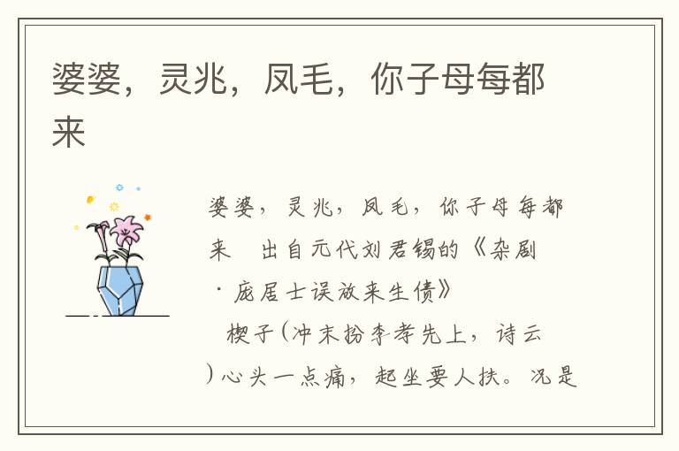 婆婆，靈兆，鳳毛，你子母每都來