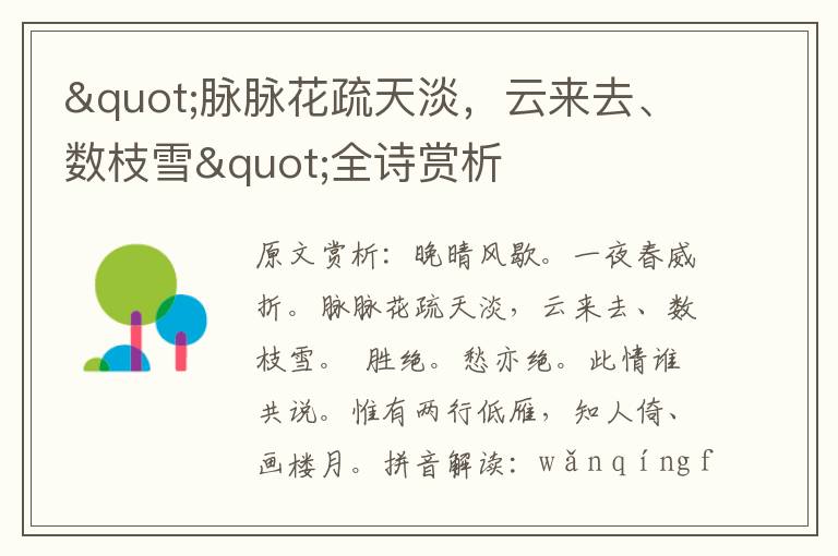 "脉脉花疏天淡，云来去、数枝雪"全诗赏析