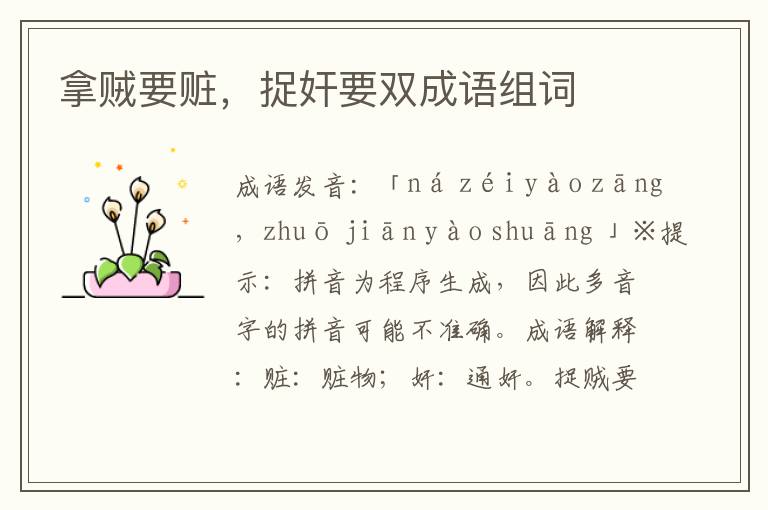 拿賊要贓,捉奸要雙成語組詞