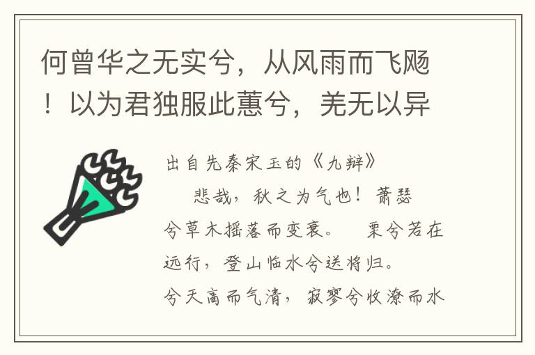 何曾華之無實兮，從風雨而飛飏！以為君獨服此蕙兮，羌無以異于眾芳