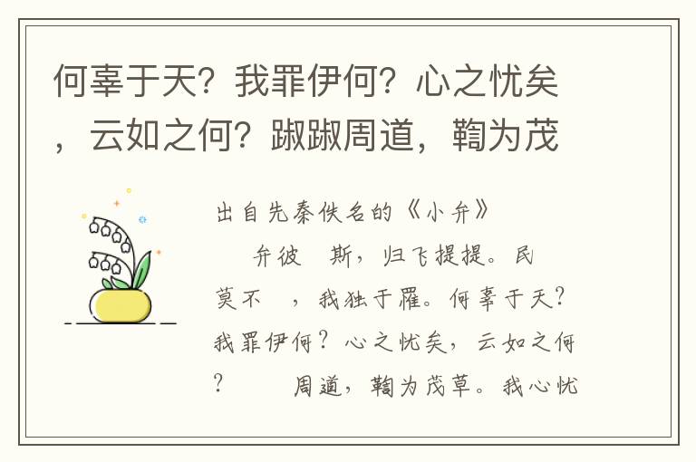 何辜于天？我罪伊何？心之憂矣，云如之何？踧踧周道，鞫為茂草。