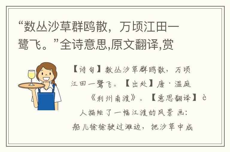 “數叢沙草群鷗散，萬頃江田一鷺飛?！比娨馑?原文翻譯,賞析