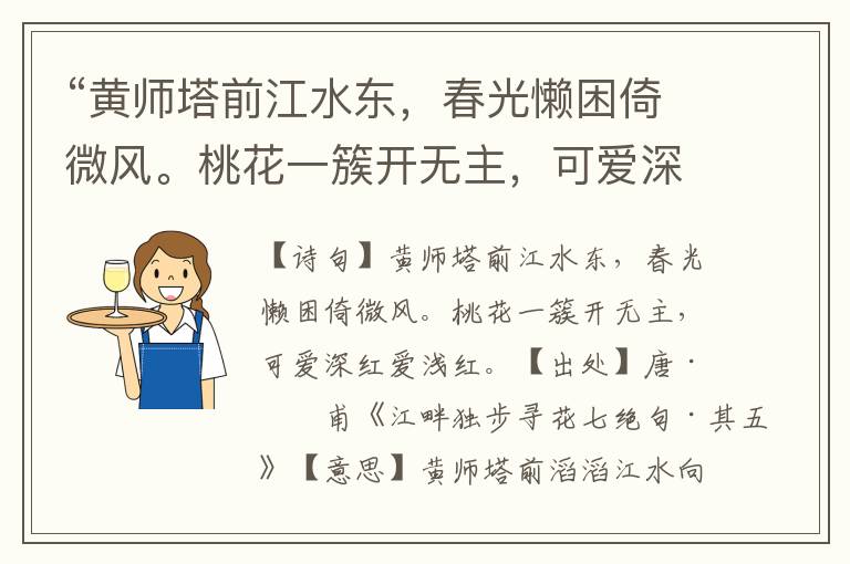 “黃師塔前江水東，春光懶困倚微風。桃花一簇開無主，可愛深紅愛淺紅。”全詩意思,原文翻譯,賞析