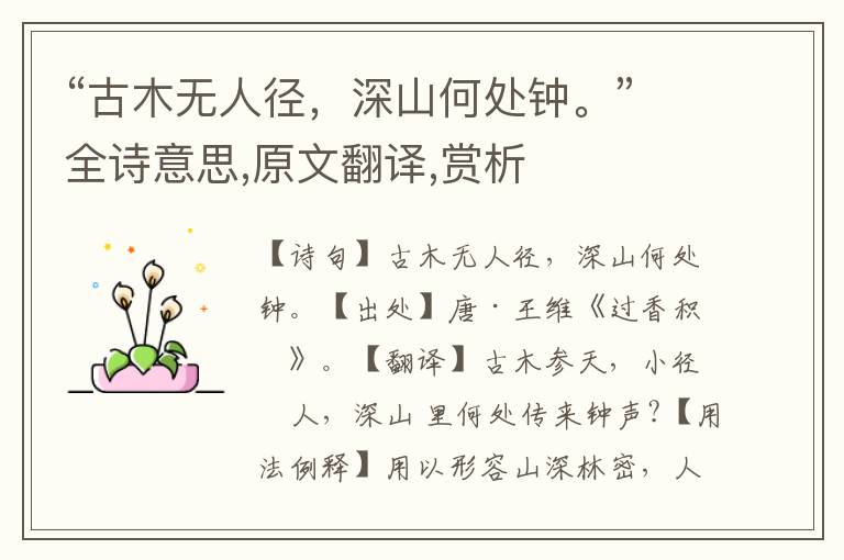 “古木無人徑，深山何處鐘。”全詩意思,原文翻譯,賞析