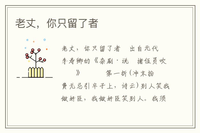 老丈，你只留了者