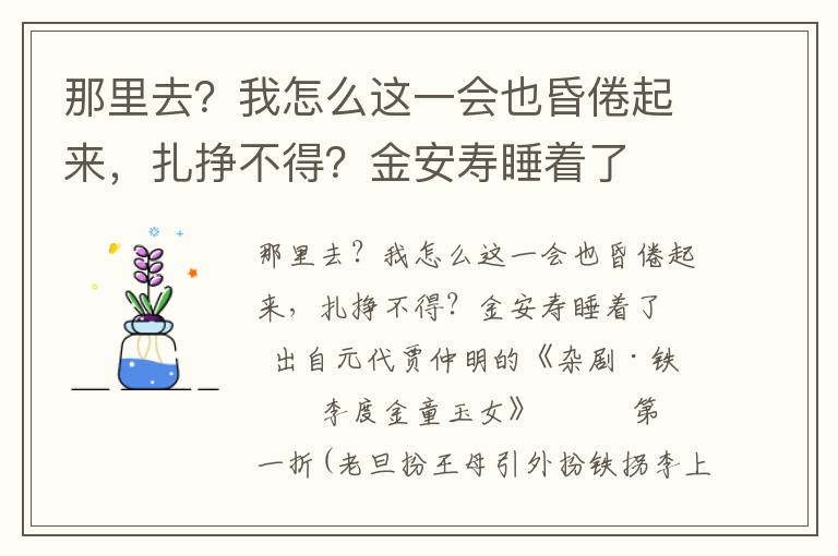 那里去？我怎么這一會也昏倦起來，扎掙不得？金安壽睡著了