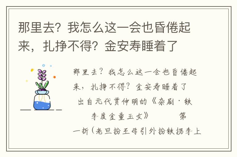 那里去？我怎么这一会也昏倦起来，扎挣不得？金安寿睡着了