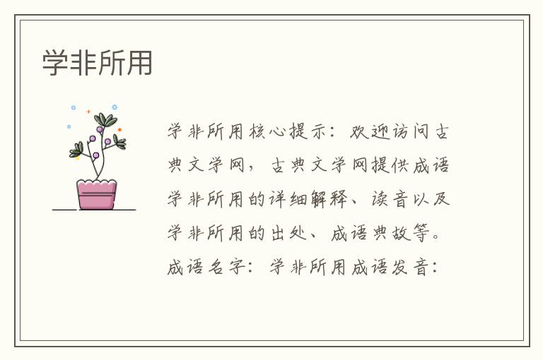 學非所用