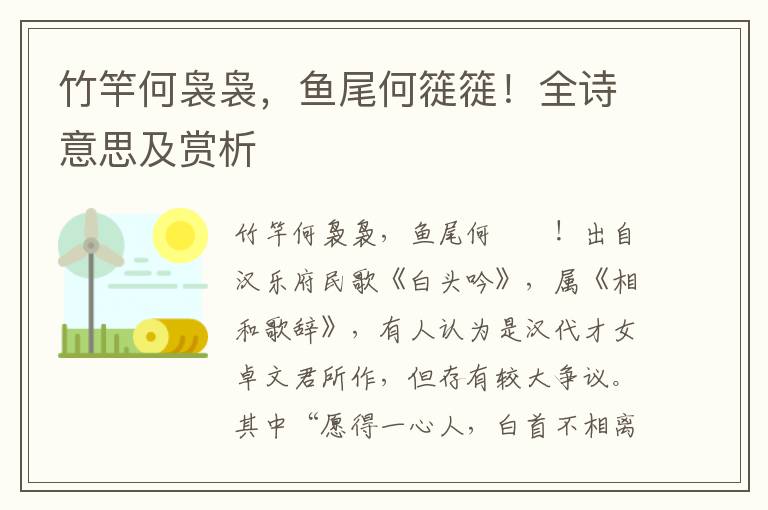 竹竿何袅袅，鱼尾何簁簁！全诗意思及赏析