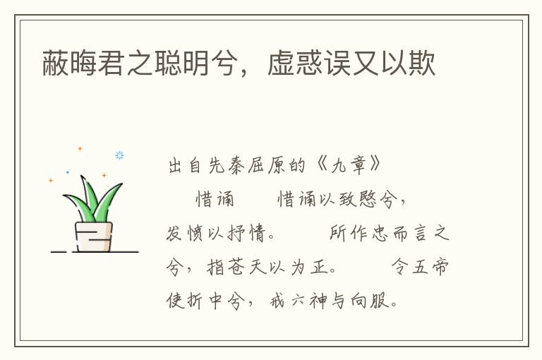 蔽晦君之聪明兮，虚惑误又以欺