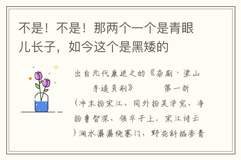 不是！不是！那兩個一個是青眼兒長子，如今這個是黑矮的