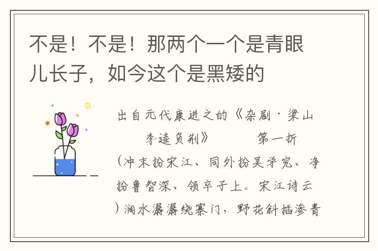 不是！不是！那两个一个是青眼儿长子，如今这个是黑矮的