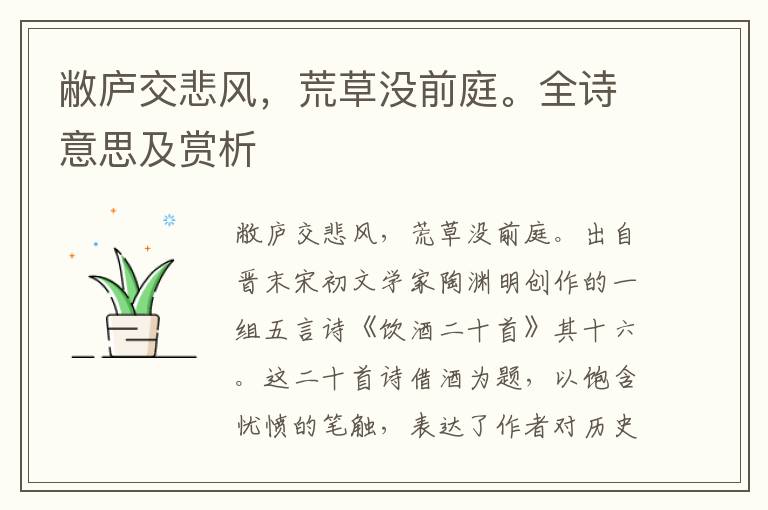 敝廬交悲風，荒草沒前庭。全詩意思及賞析