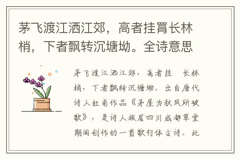 茅飛渡江灑江郊，高者掛罥長林梢，下者飄轉沉塘坳。全詩意思及賞析