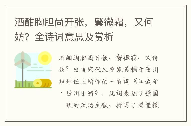 酒酣胸胆尚开张，鬓微霜，又何妨？全诗词意思及赏析