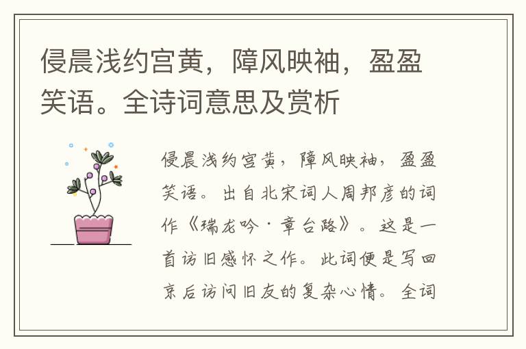 侵晨淺約宮黃，障風映袖，盈盈笑語。全詩詞意思及賞析