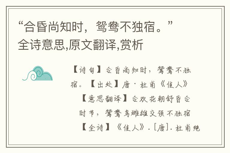 “合昏尚知时，鸳鸯不独宿。”全诗意思,原文翻译,赏析