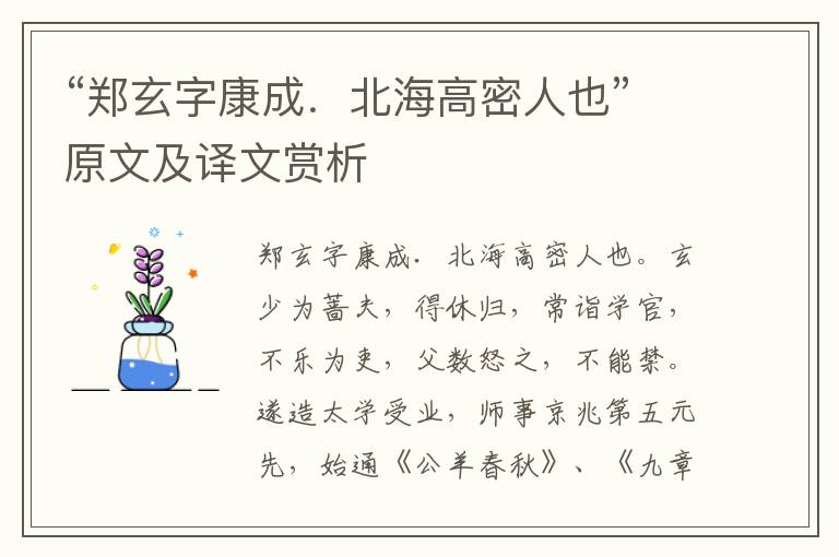 “鄭玄字康成．北海高密人也”原文及譯文賞析