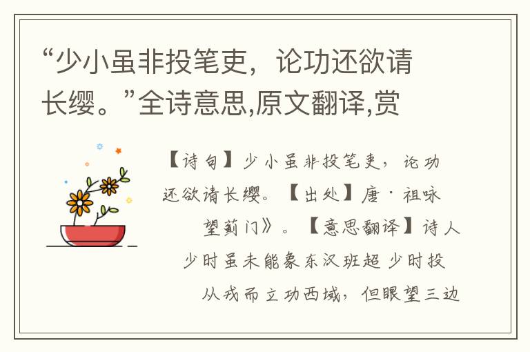 “少小雖非投筆吏，論功還欲請長纓。”全詩意思,原文翻譯,賞析