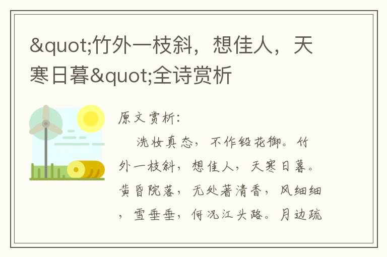 "竹外一枝斜，想佳人，天寒日暮"全詩賞析