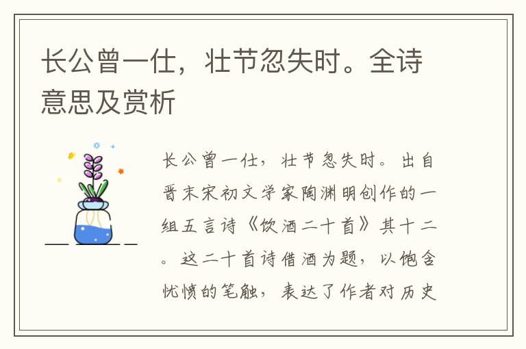 長公曾一仕，壯節忽失時。全詩意思及賞析