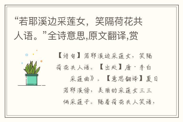 “若耶溪邊采蓮女，笑隔荷花共人語。”全詩意思,原文翻譯,賞析