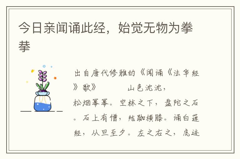 今日親聞誦此經(jīng)，始覺無物為拳拲