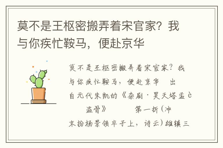 莫不是王枢密搬弄着宋官家？我与你疾忙鞍马，便赴京华